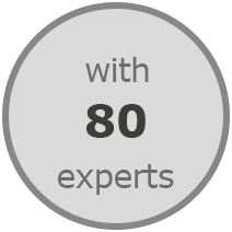 with 80 experts